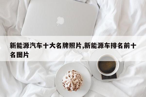 新能源汽车十大名牌照片,新能源车排名前十名图片
