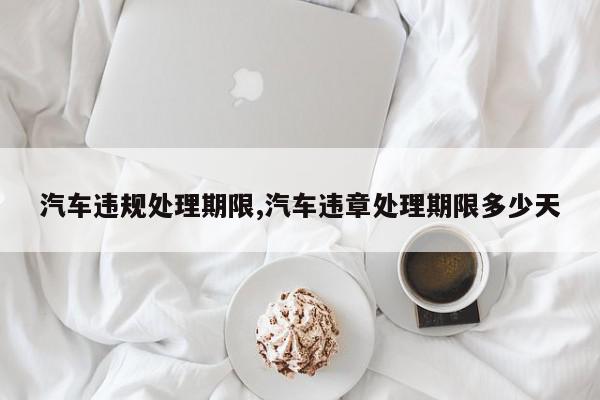 汽车违规处理期限,汽车违章处理期限多少天