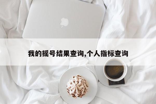我的摇号结果查询,个人指标查询