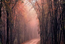 戏剧三要素是什么?,戏剧三要素是哪三个