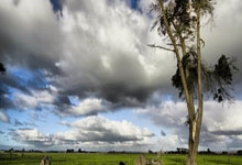 摩托车之家官网入口登录,摩托车网站摩托车之家